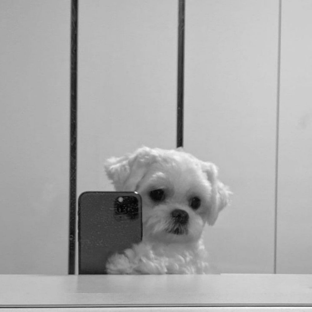 brina