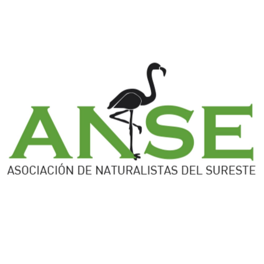 ANSE