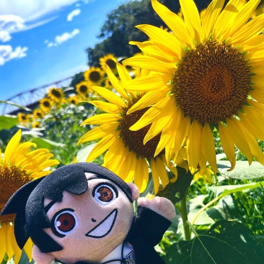 こつぶ
