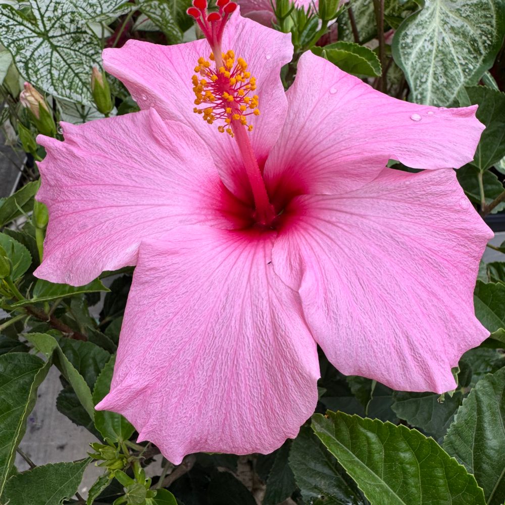 sarahdunn71.bsky.social