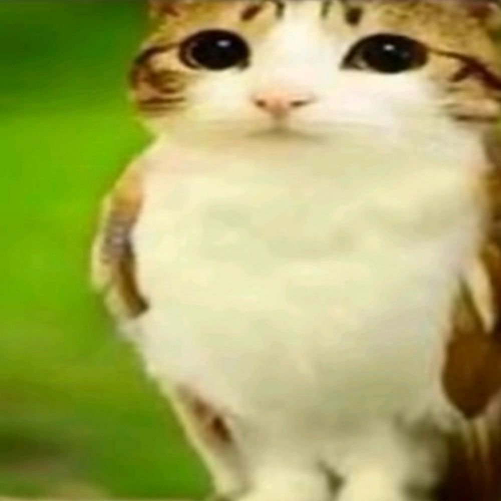 iwnnfckuhghiwnnfludp