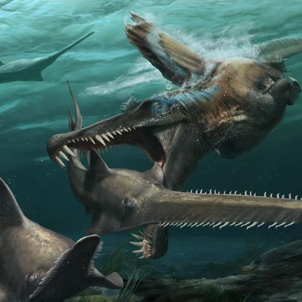 Nerdy Spinosaurid