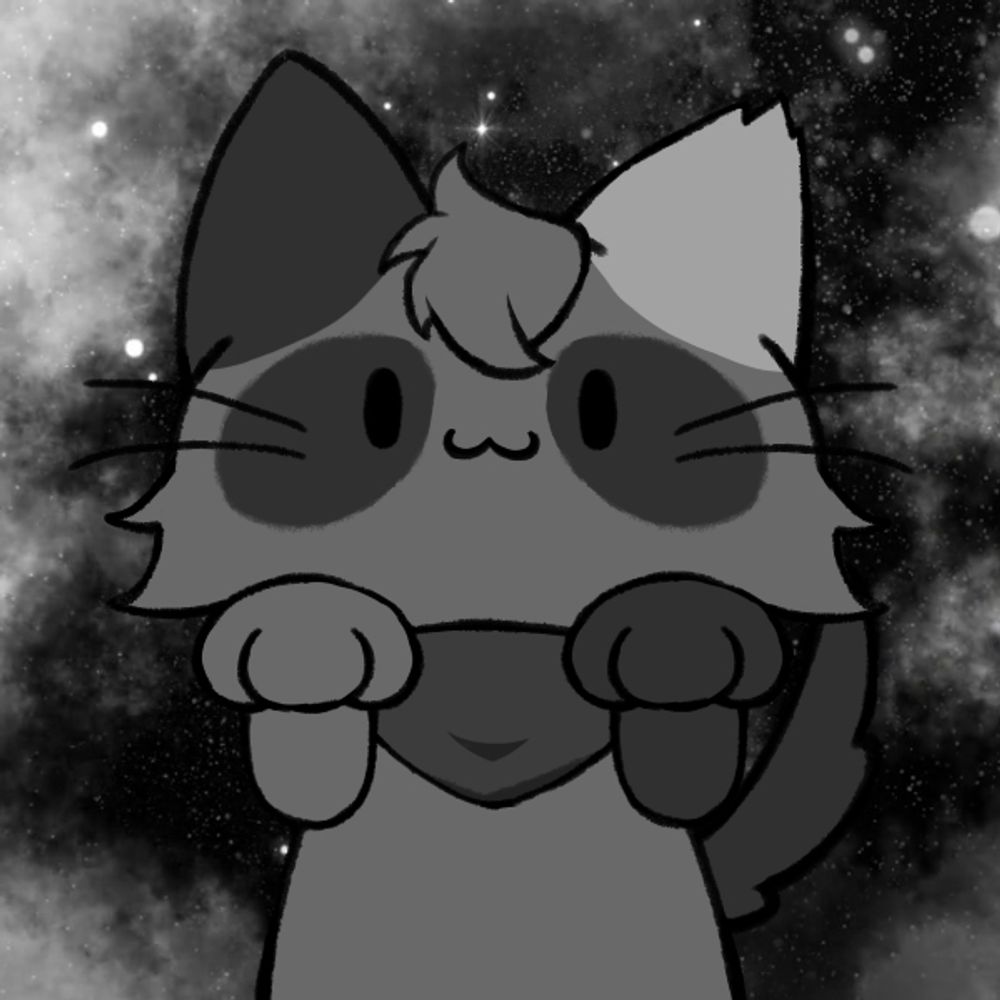 Neko Mapache