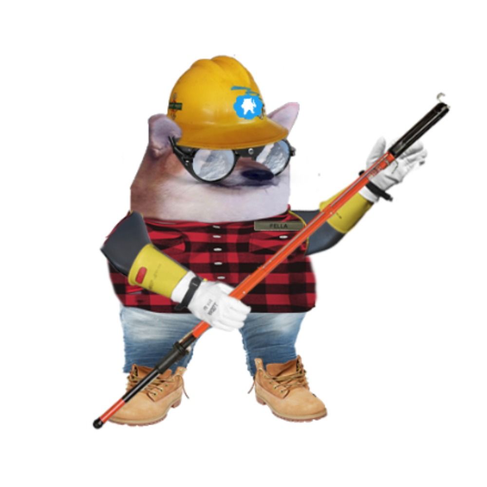 Felectrician 🌻 🦝 💙💛