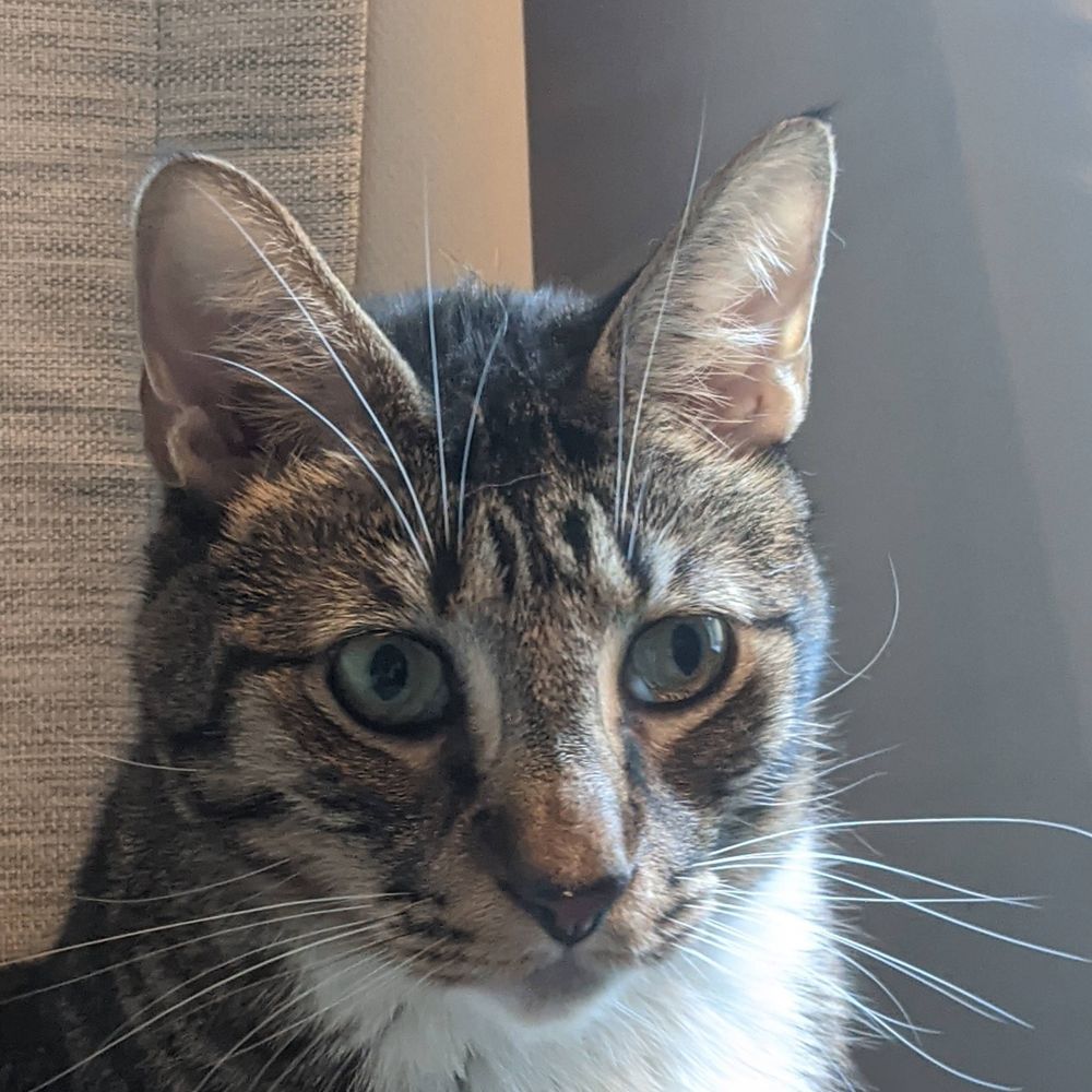 Daniel