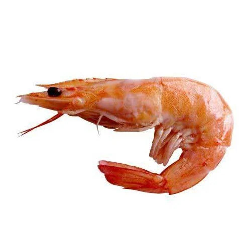 Bellpiper2