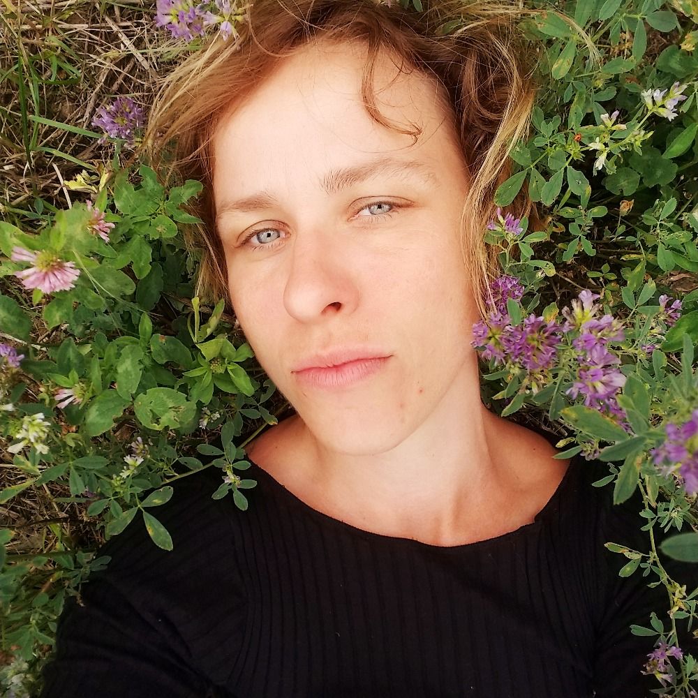 anna stiede