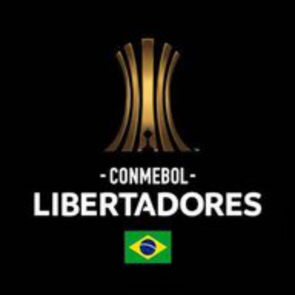 Conmebol Libertadores BR 