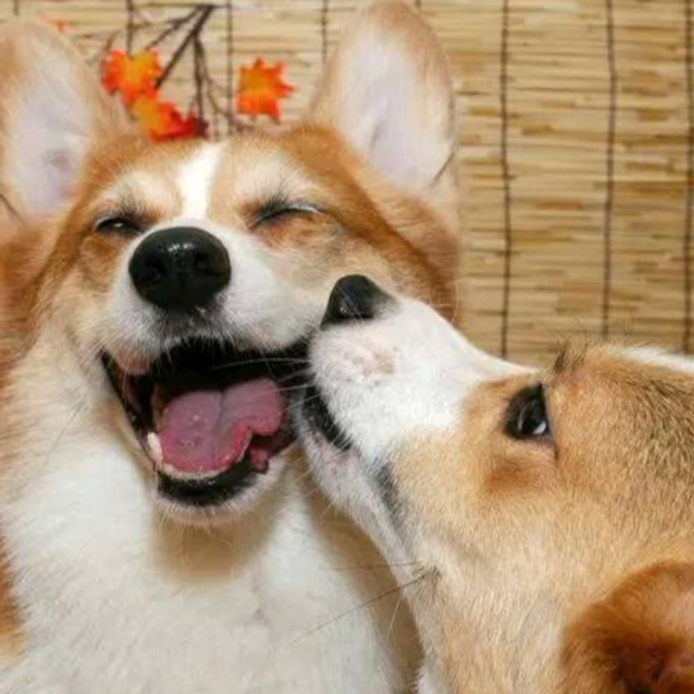 carolesmall.bsky.social