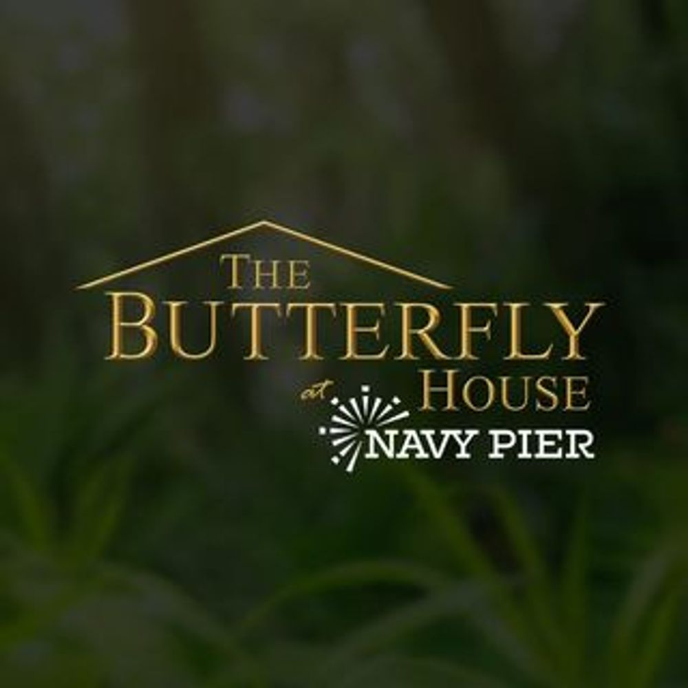 Profile picture butterflyhousechi.bsky.social