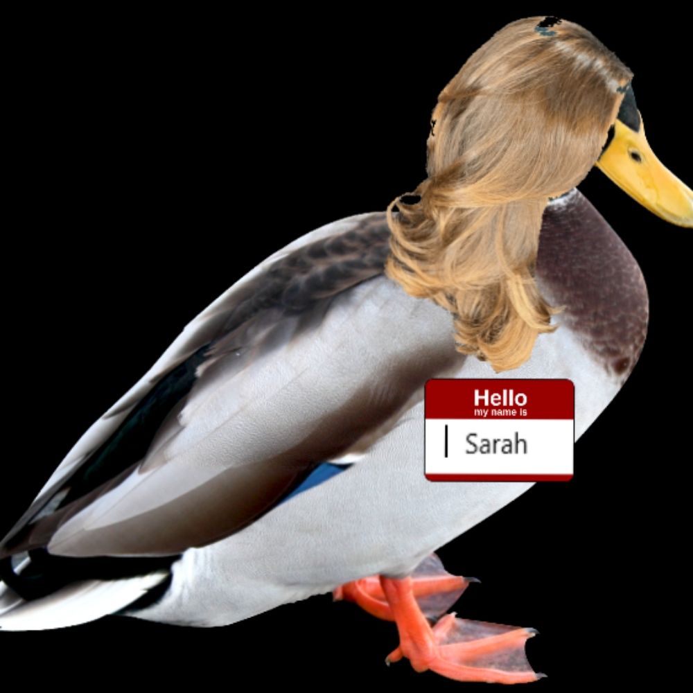 Duckmaster