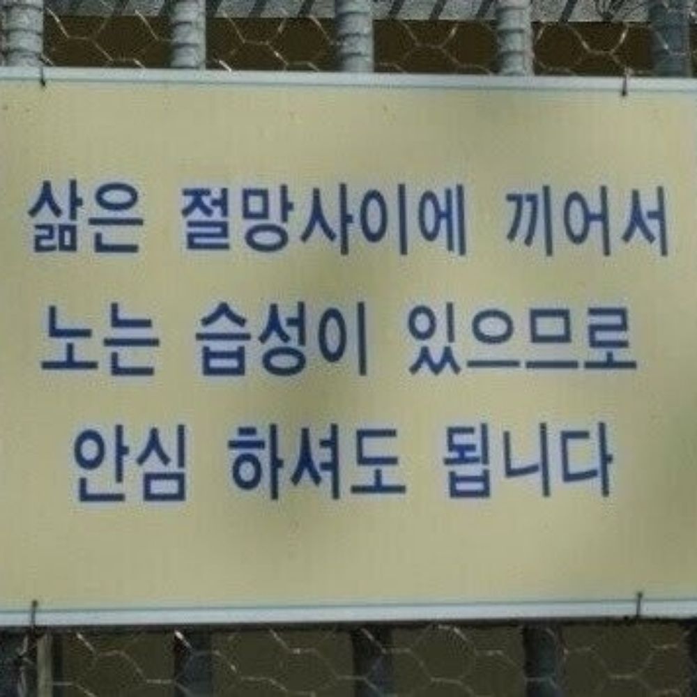 일살