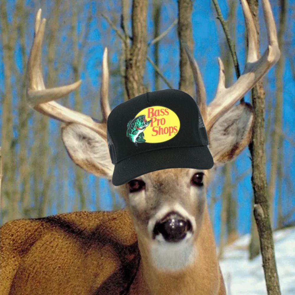 Buck