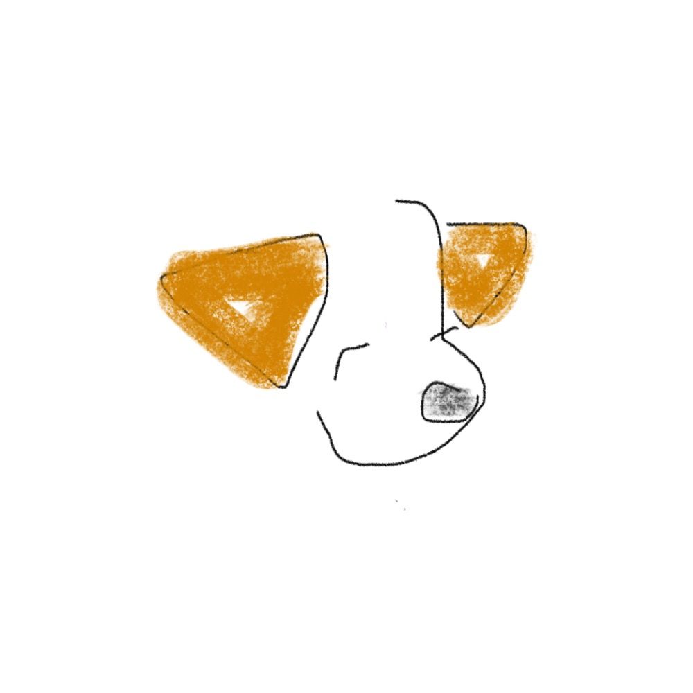 あおしろのり