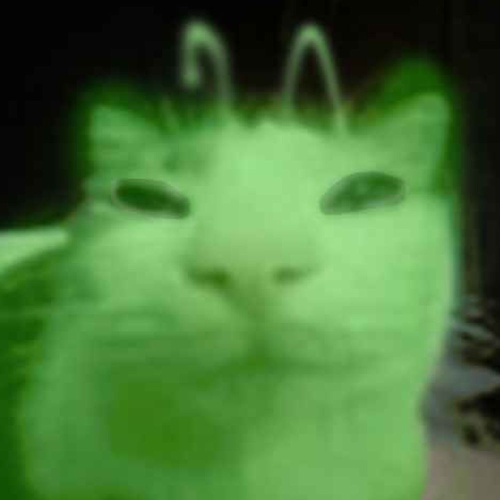 ⋉⟒⟒⏚⎍⌇ ⌖⍜⍀⌿