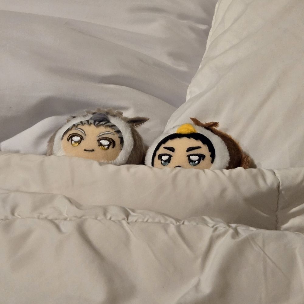 열쇠🔑