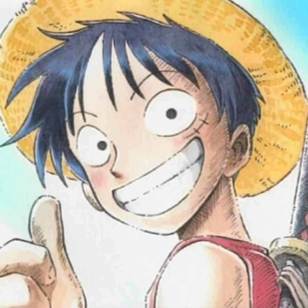 One Piece Ist Geil
