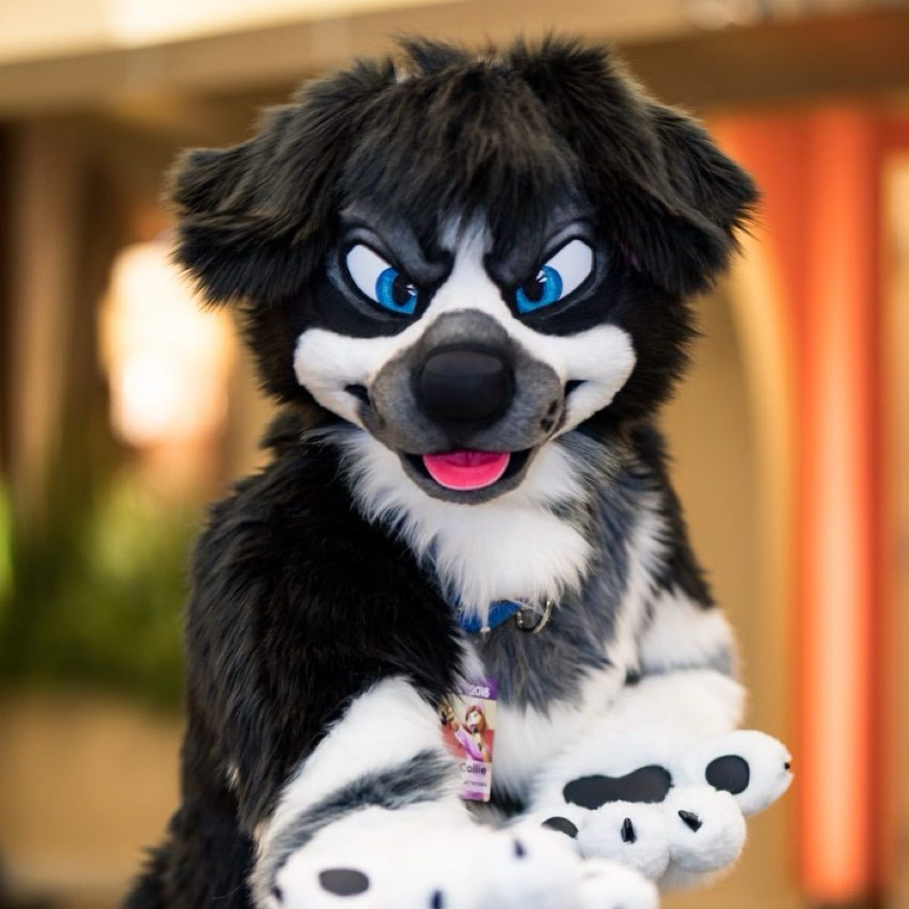 Riley Woof