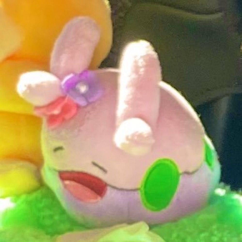 おいぬ⍨⃝︎