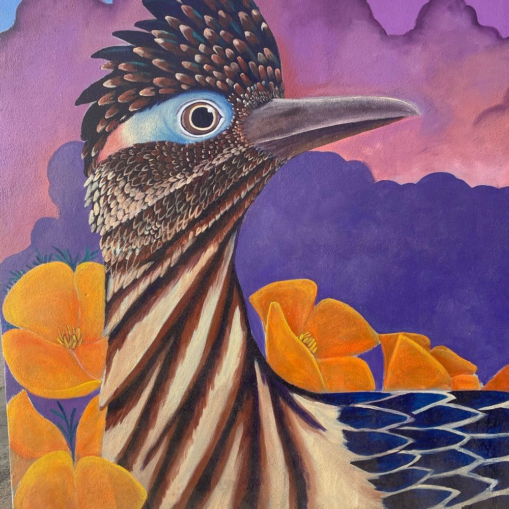 RoadRunner