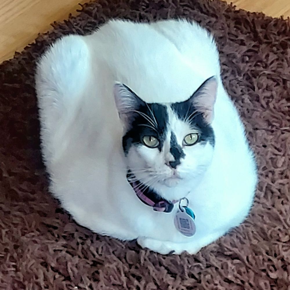 Lisa M.