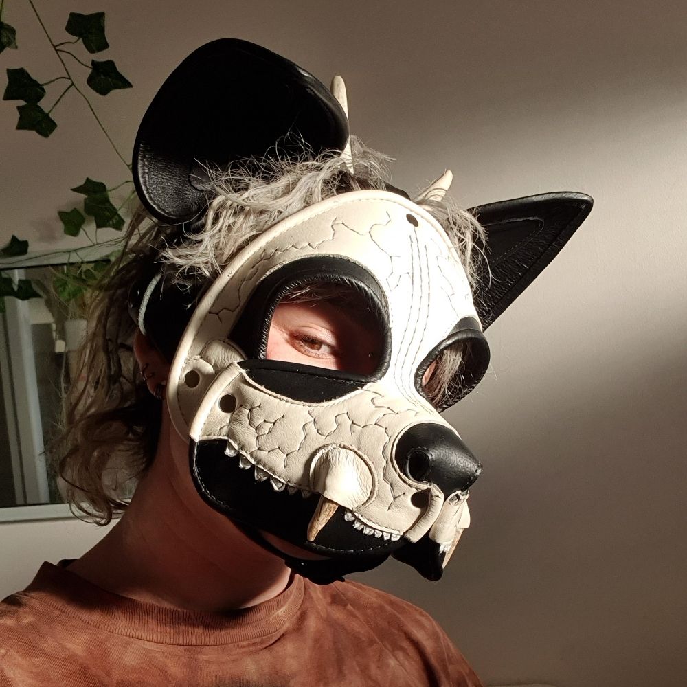 ThatRottenDog