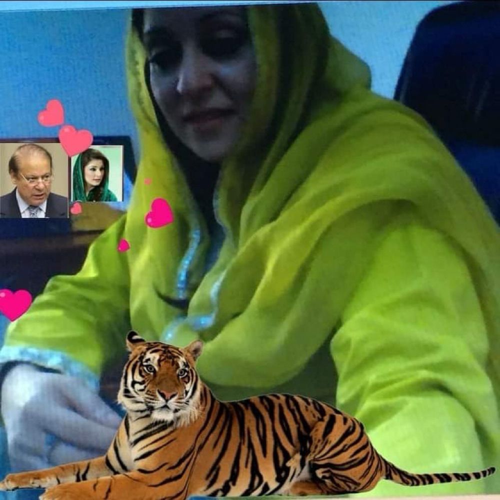 Bint e Kashmir