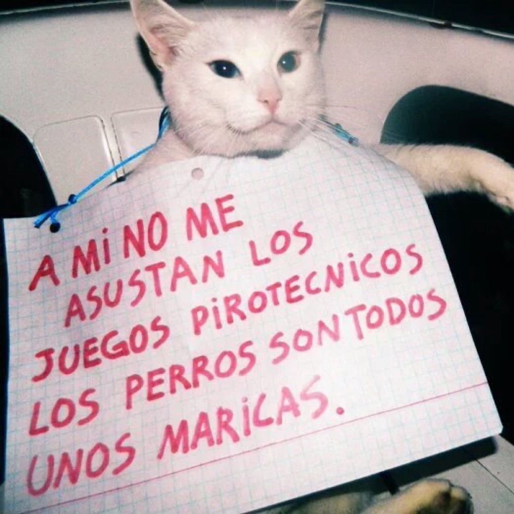 Lucho