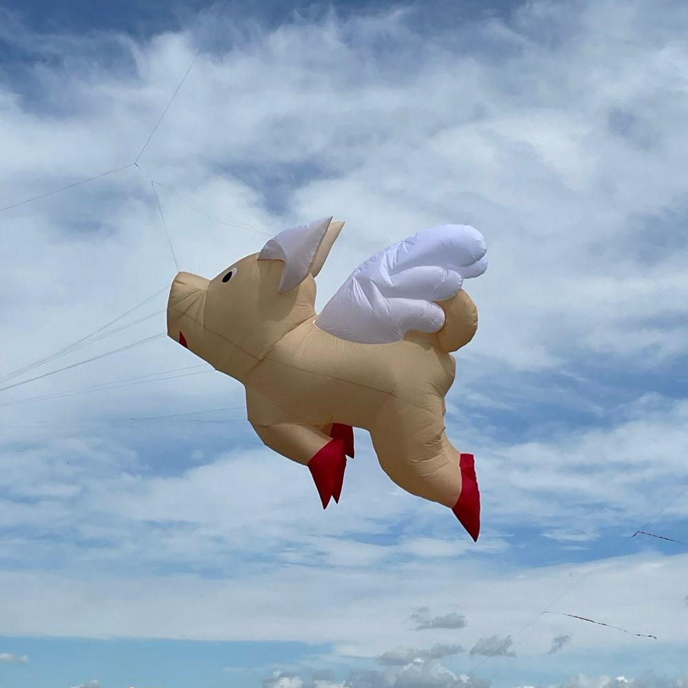 pebbles4rocks.bsky.social