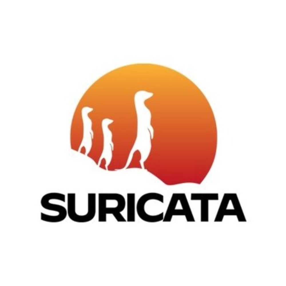 Suricata IDS