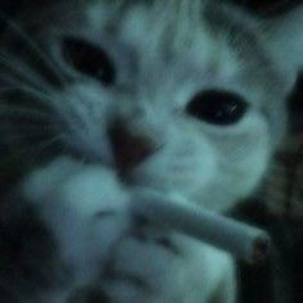 Jessy ♡