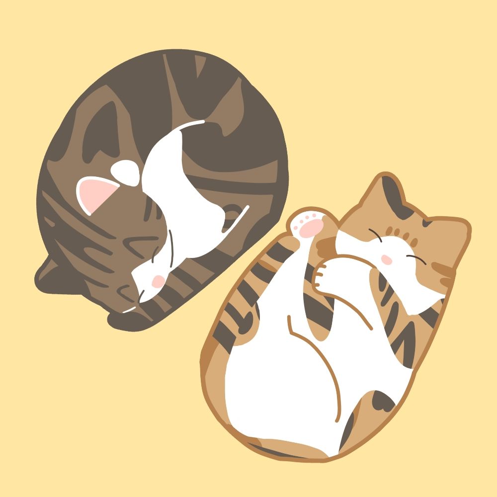じぇーれ