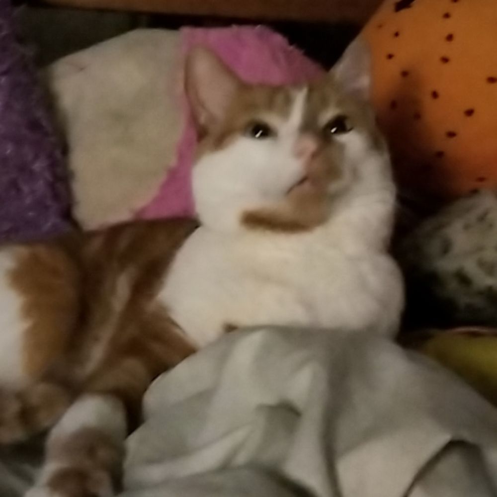 Mo💤y