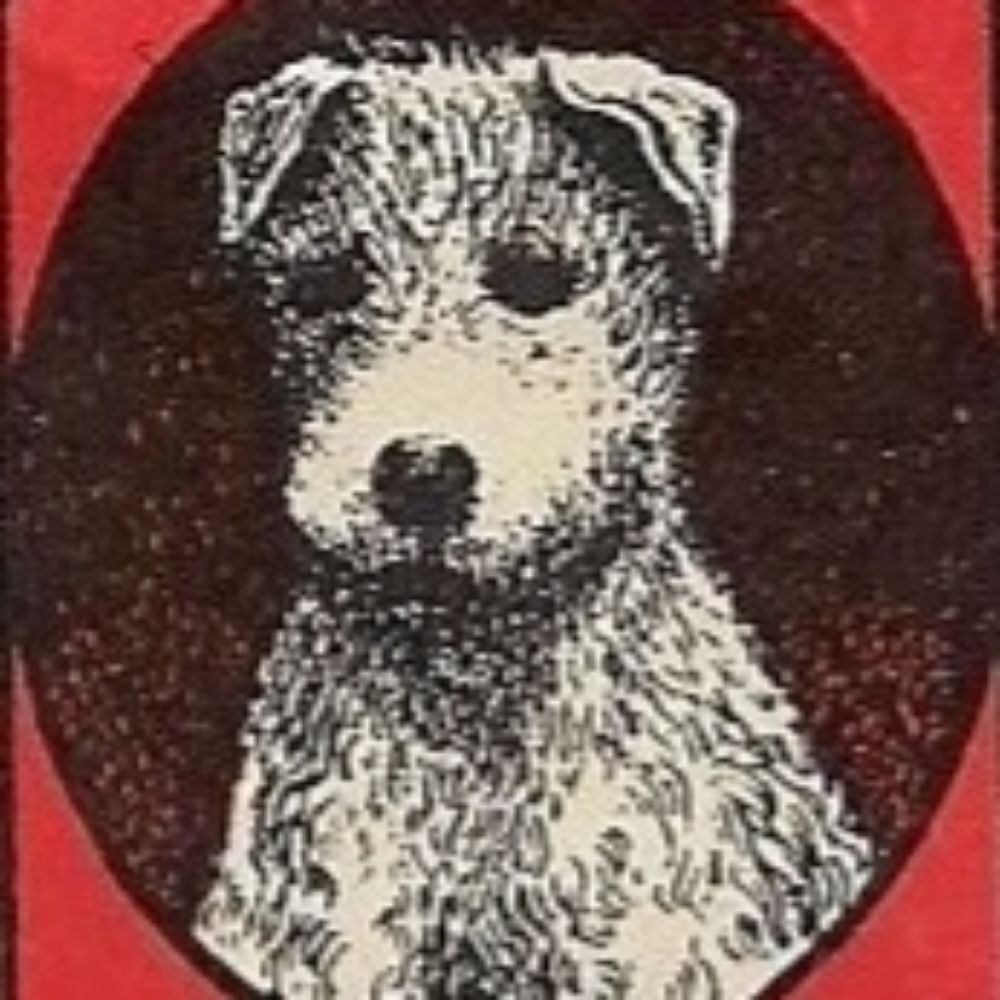 venichardi