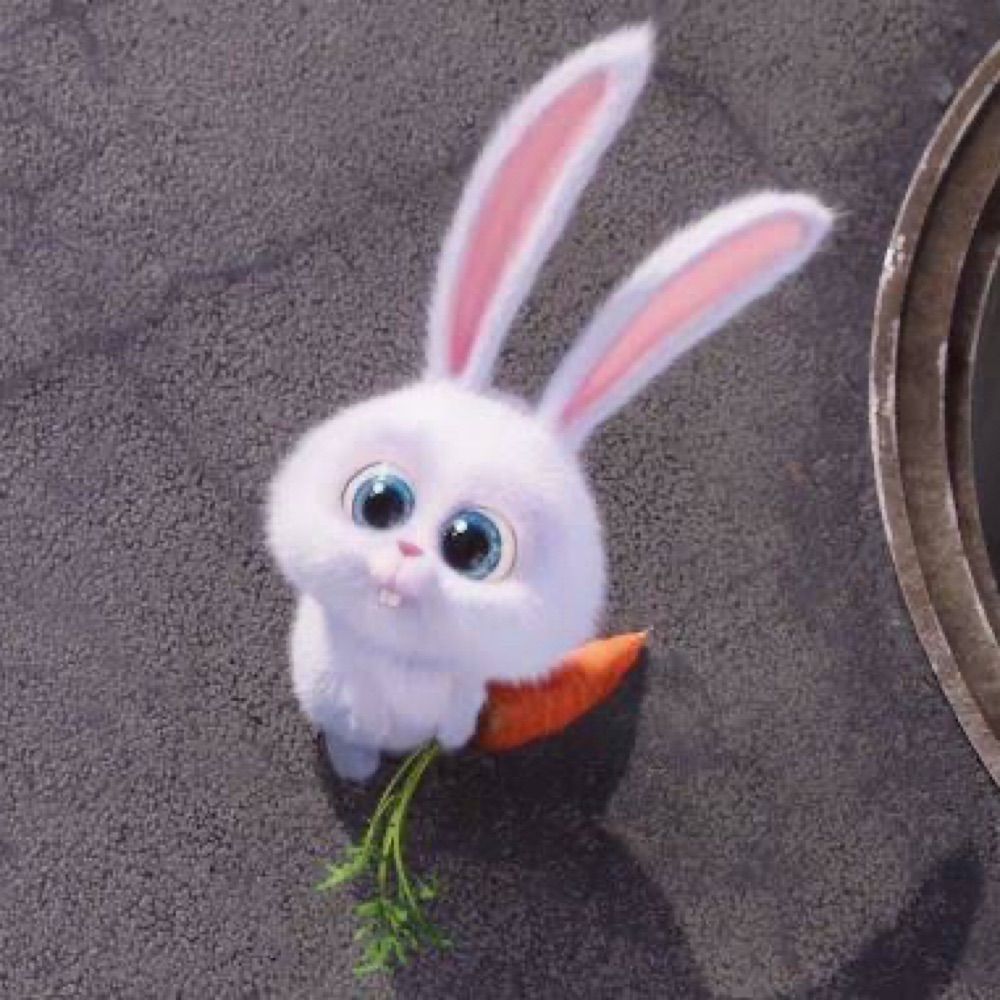 อซง🐰
