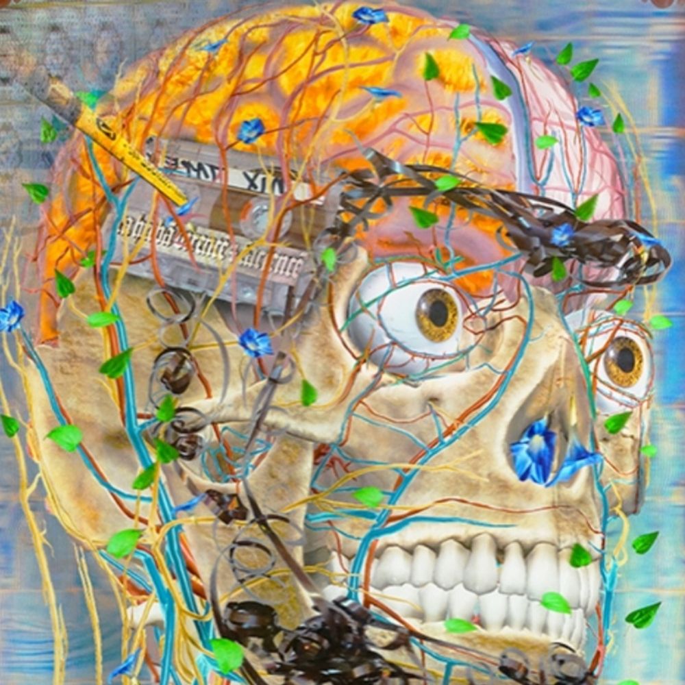TR▲N§HUᙢȂ̶́̾̂͂̓̓̓̔͊̄̏͂̚͝N