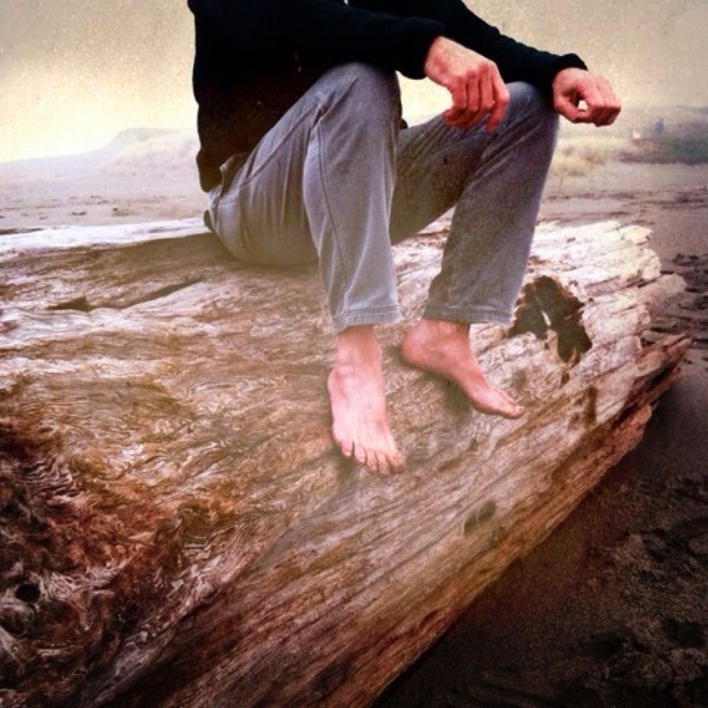 Andrew Steele