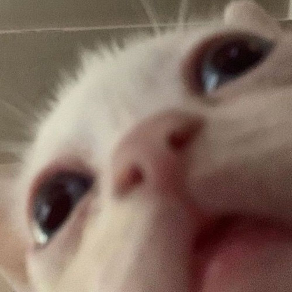 ru 