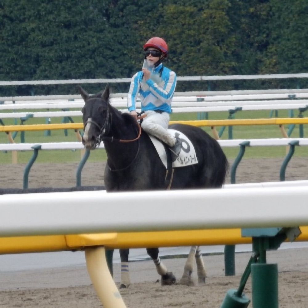 凛🐎一口馬主垢