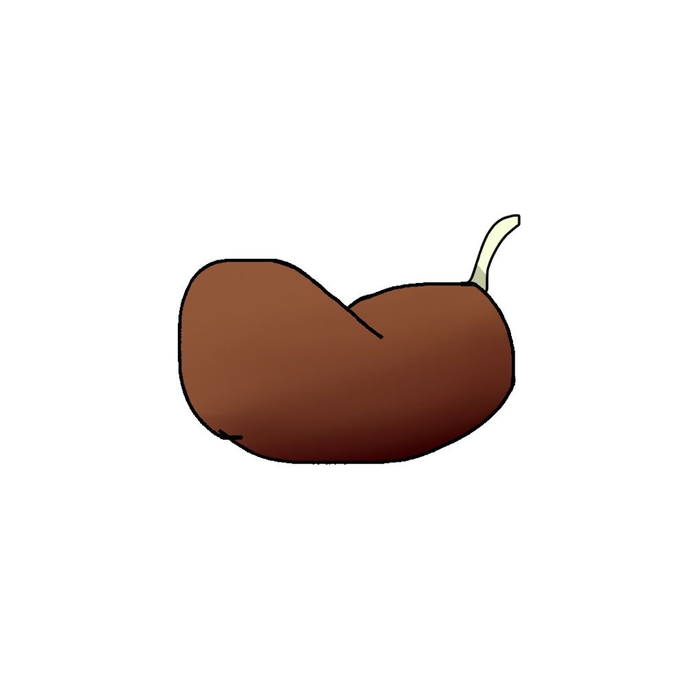 豆太🫘🌱