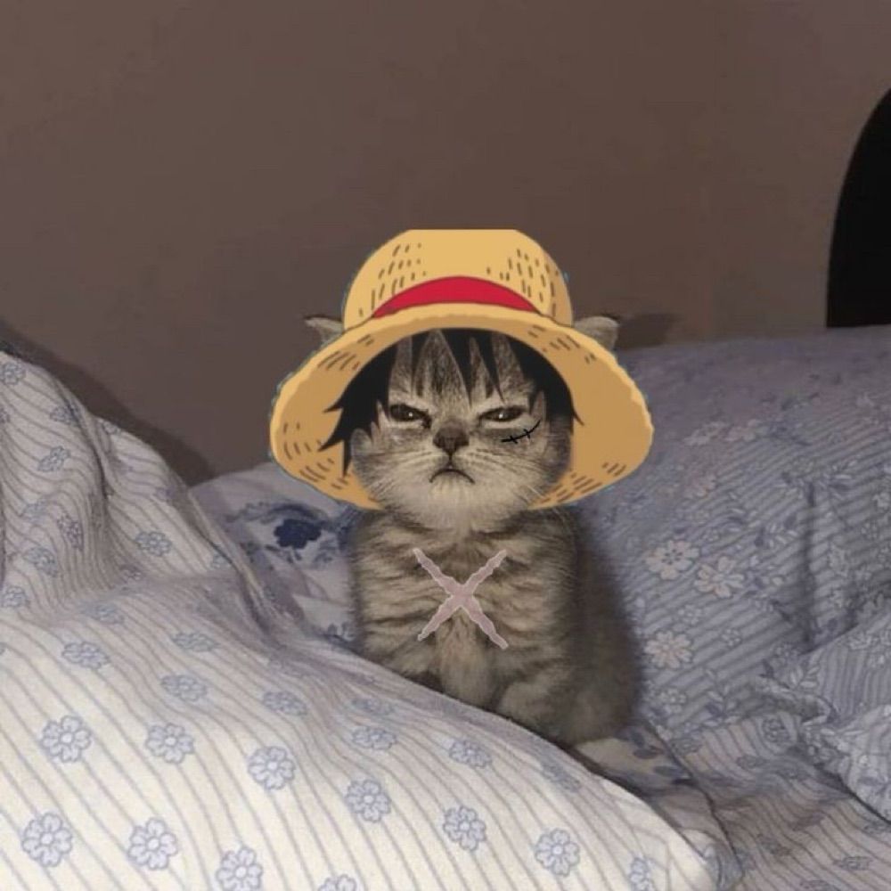 JoyBobo