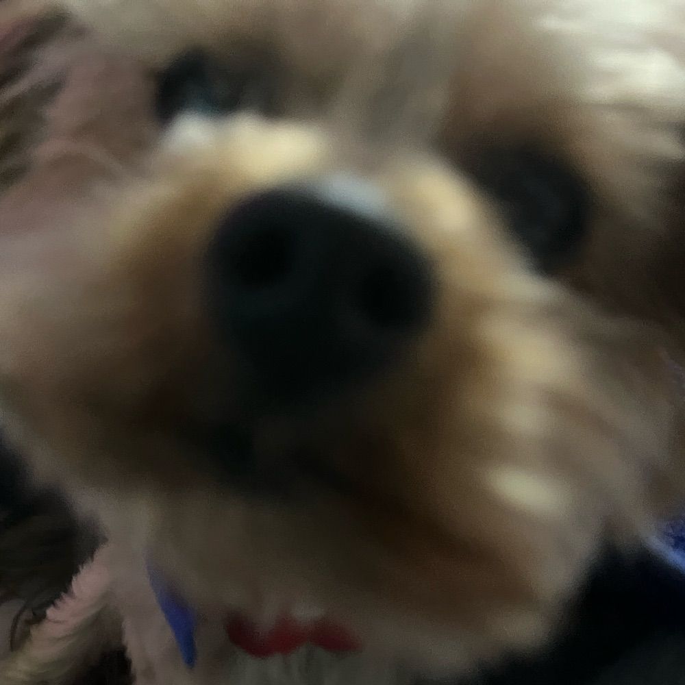 caldinho