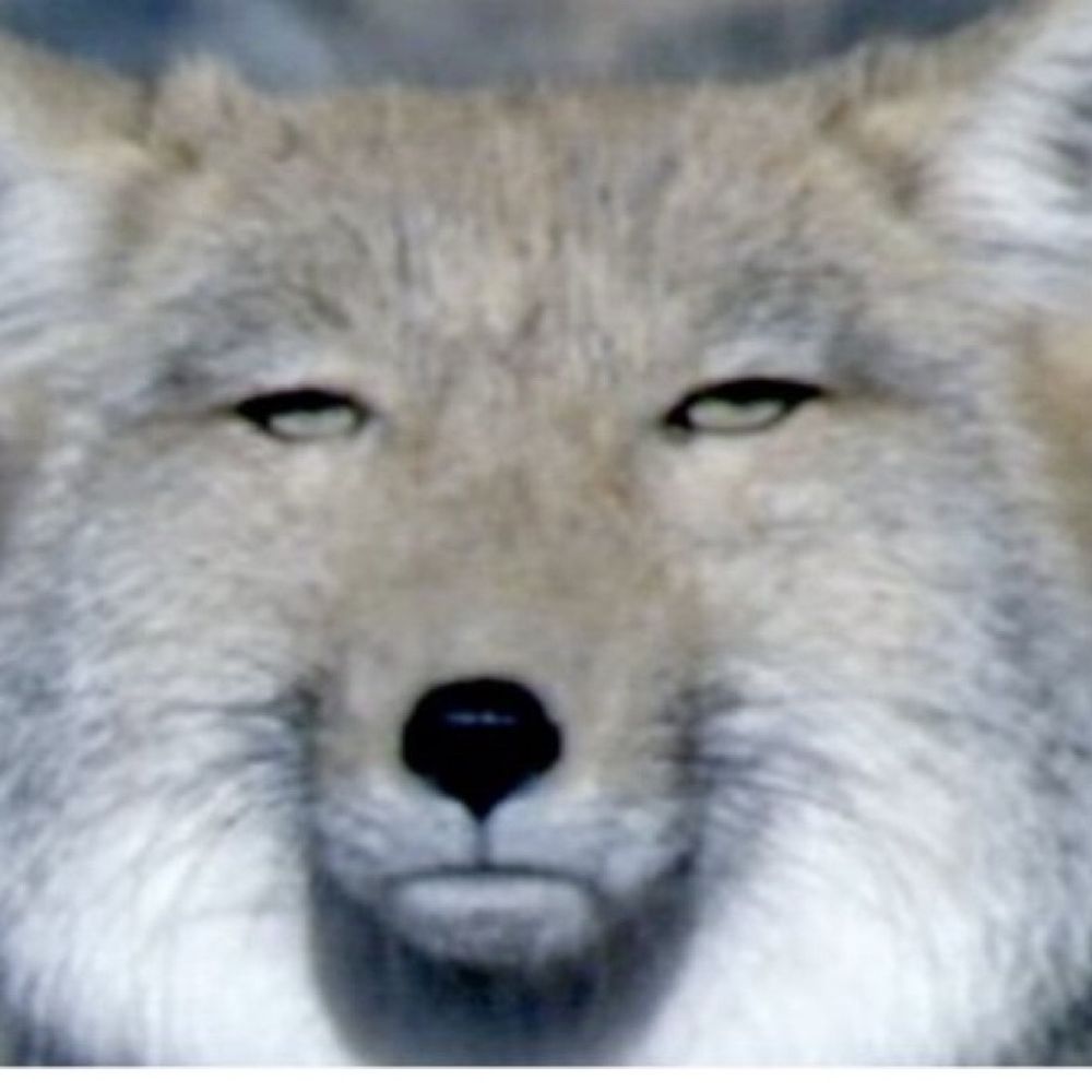ふわふわ侑