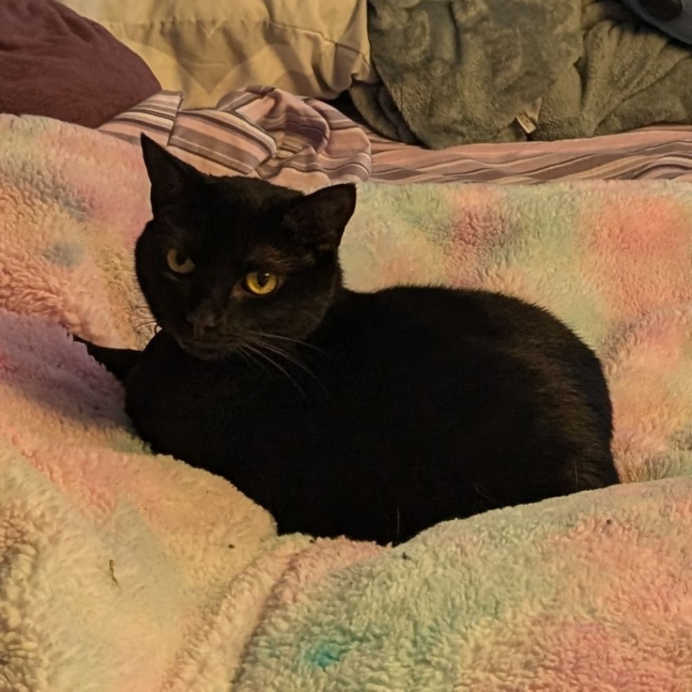 Tor