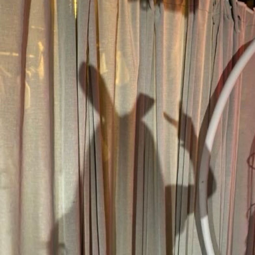 RAY