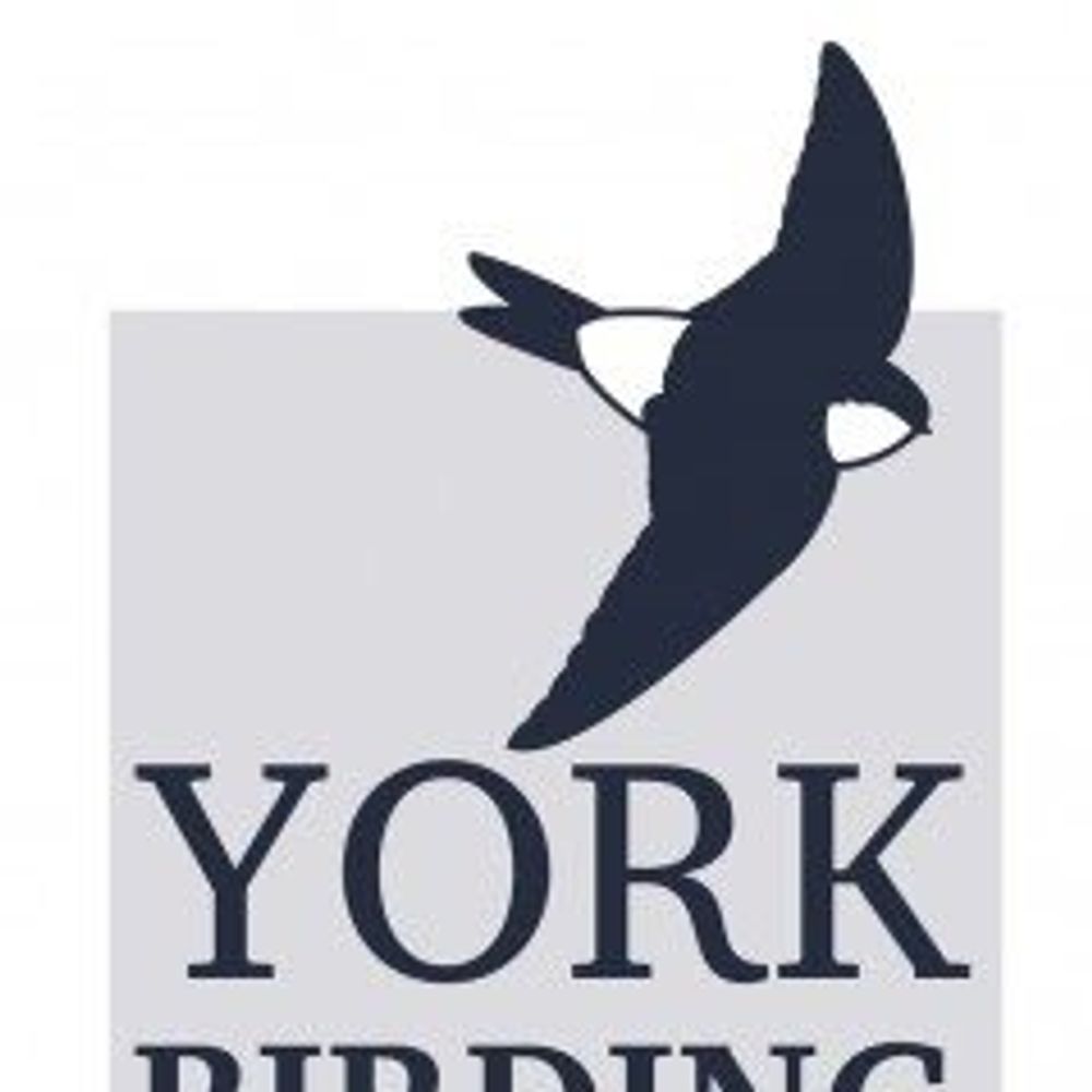 York Birding