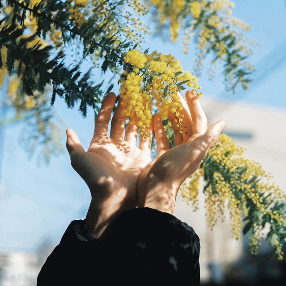 Nature in Focus