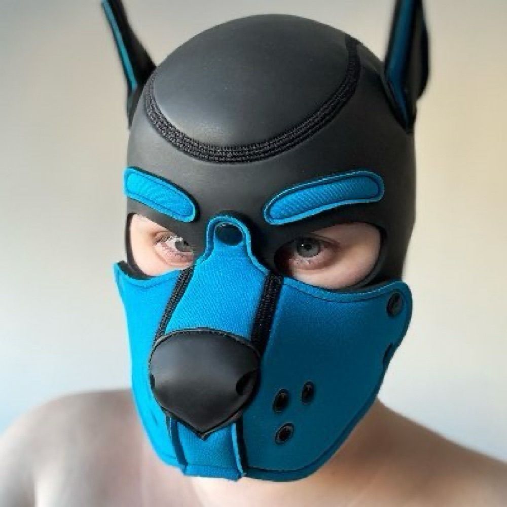 Leo 🐶