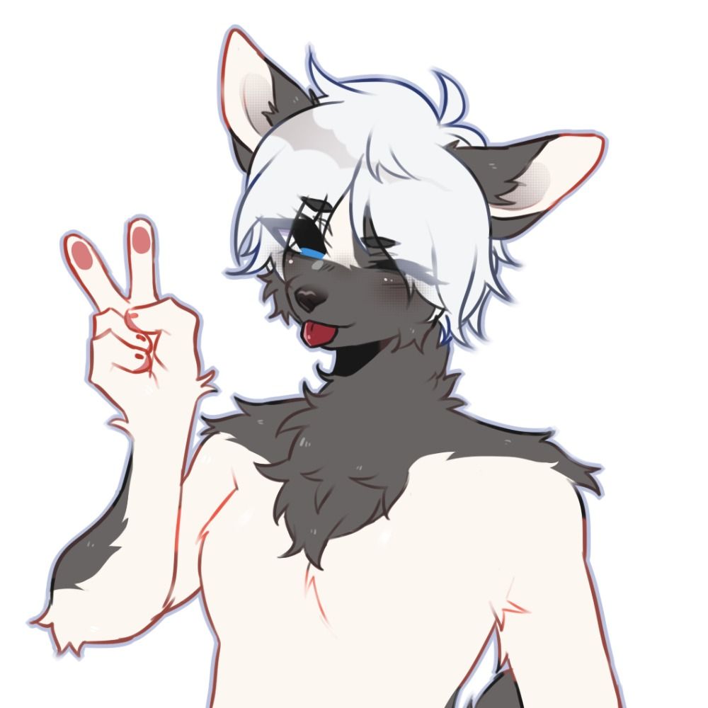 ファビグレポ l FabiGrepo🐺🐾