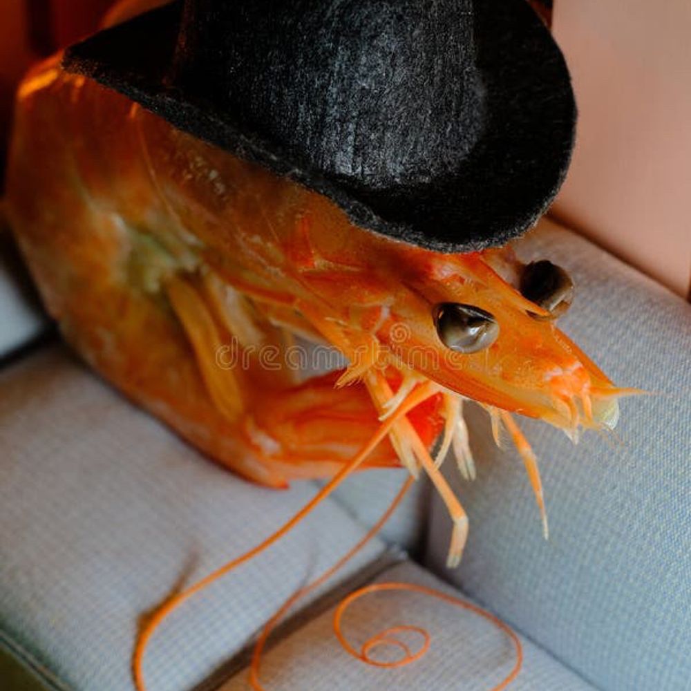 Shrimp P WIlliams